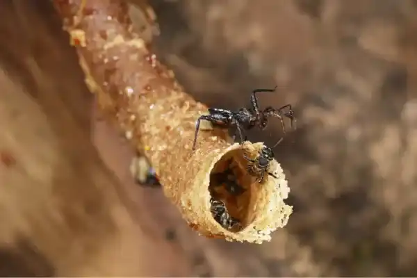 2025072315312047.webp 5.webp