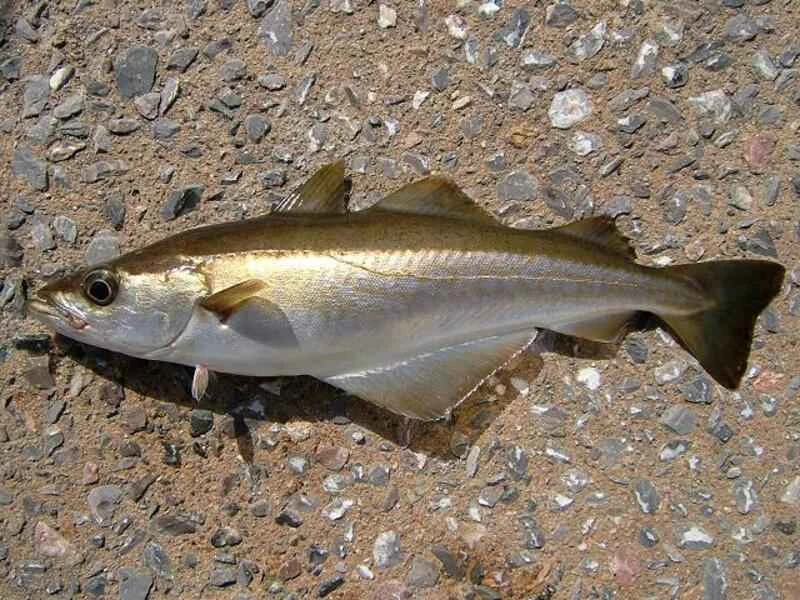 2025022714935581.jpg 9.jpg