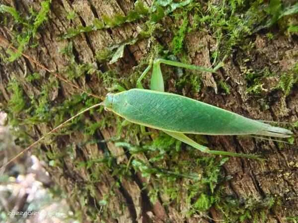 2023103015479425.jpeg 10(1).jpeg