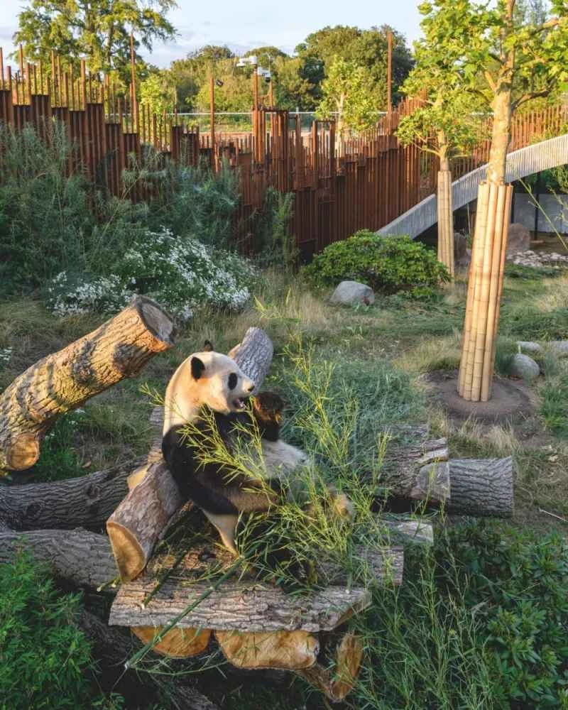 2023011745382108.jpg 7.jpg