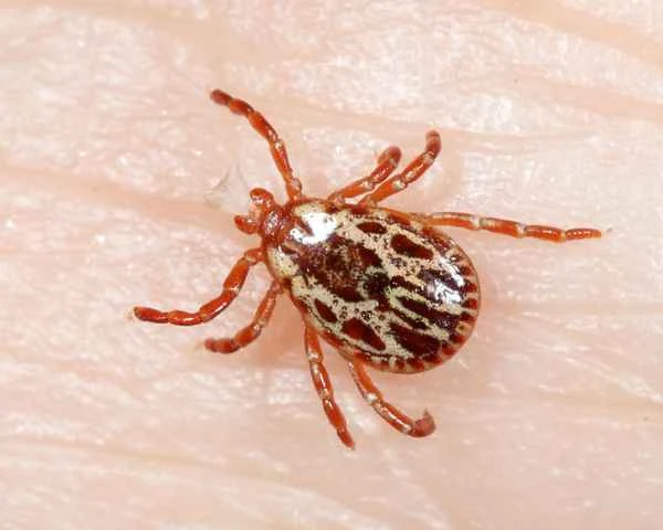 2024042216889683.jpeg 6.jpeg