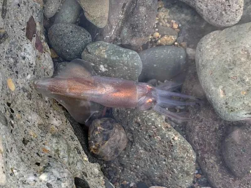 2024111715508590.jpg 8.jpg