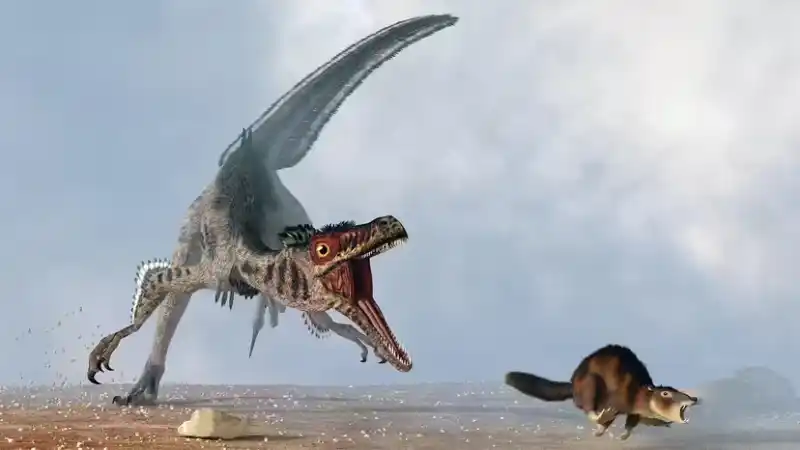 Velociraptors are not the "giant monsters" depicted in movies.