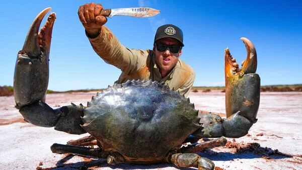 The top ten largest crabs in the world, how big is the largest crab?