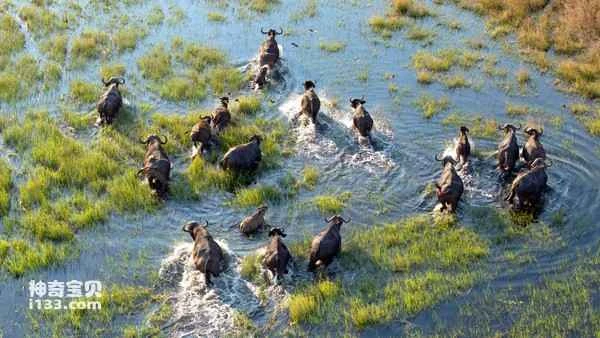 2024080717415660.jpg 99.jpg