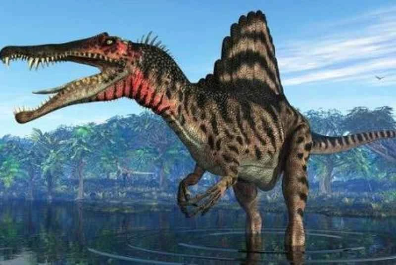 Top 10 Carnivorous Dinosaurs_Ranking of the Top 10 Carnivorous Dinosaurs