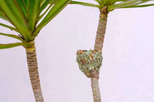 2023090112044469.jpeg 5(1).jpeg