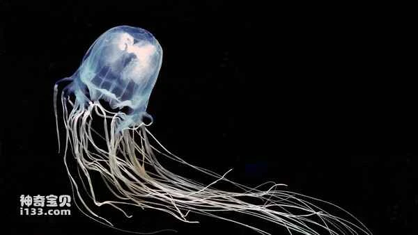 2024080721458227.jpg 33.jpg