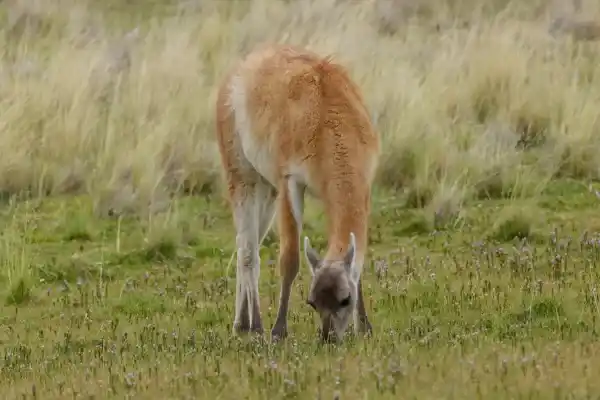 2025071793196269.webp 3.webp