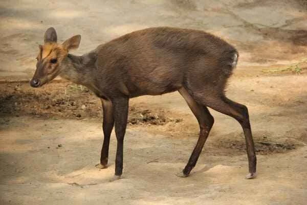 2024011769201917.jpeg 8.jpeg