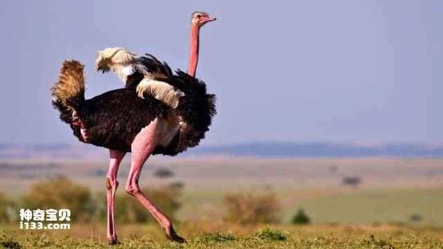 2023051217636705.jpg 9.jpg