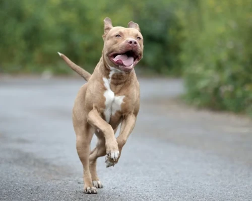 2024100823909742.png 7.png