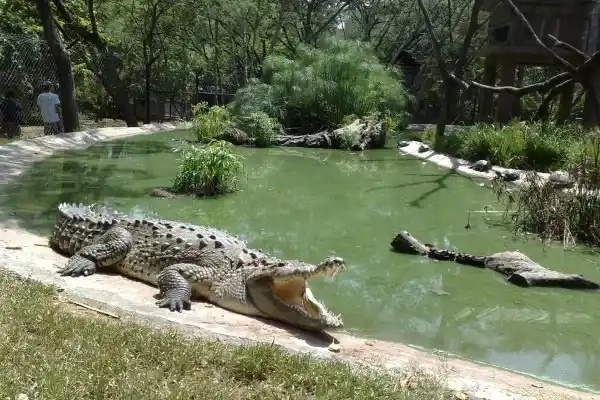 2025082515082523.webp 2.webp