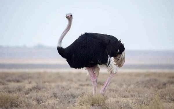 2022121617939278.jpg 3_九雷图片转换器.jpg