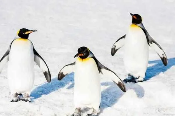 2023011628908177.jpg 2_九雷图片转换器.jpg