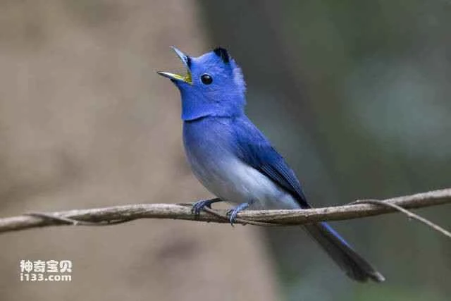 2023060464246980.jpg 33.jpg