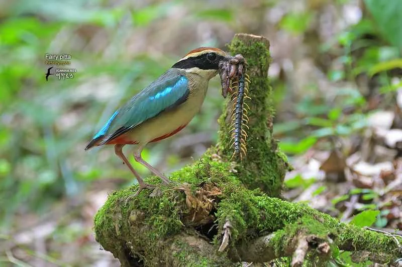 2025031097646837.jpg 9.jpg