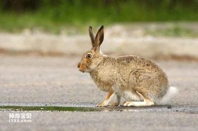 2023060119434174.jpg 18.jpg