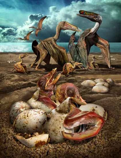 1663054042182500.jpg 4.jpg