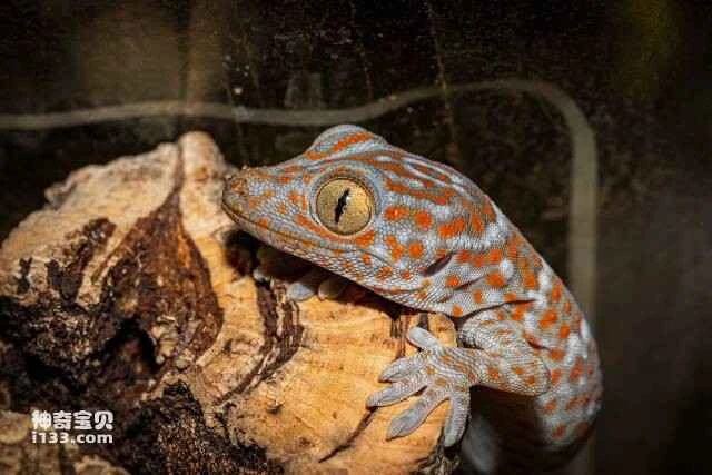 2023052544435277.jpg 3.jpg