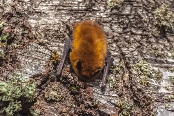 2025072312950820.webp 2.webp