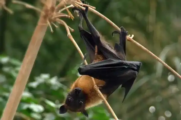 2025082626566412.webp 8.webp