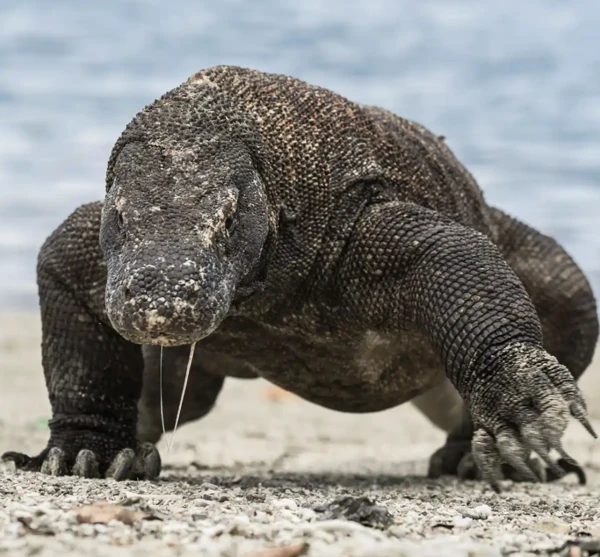 2024092814672276.png 9.png