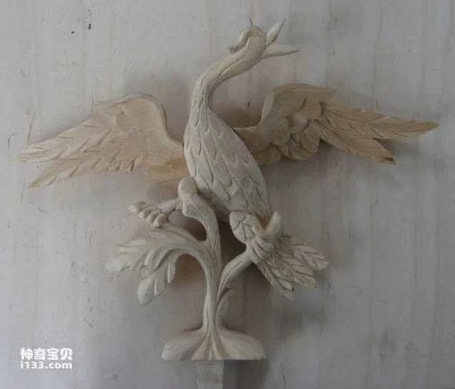 2023060713933388.jpg 4.jpg