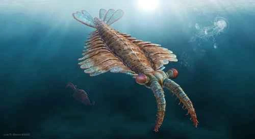 Majestic beasts of the ancient deep sea: Incredible animals of the Paleozoic Era