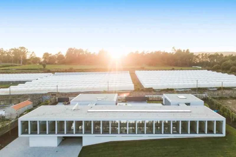 2023011717157821.jpg 1.jpg