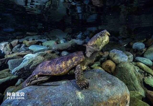 2023051139717938.jpg 屏幕快照 2023-05-11 下午8.19.57.jpg