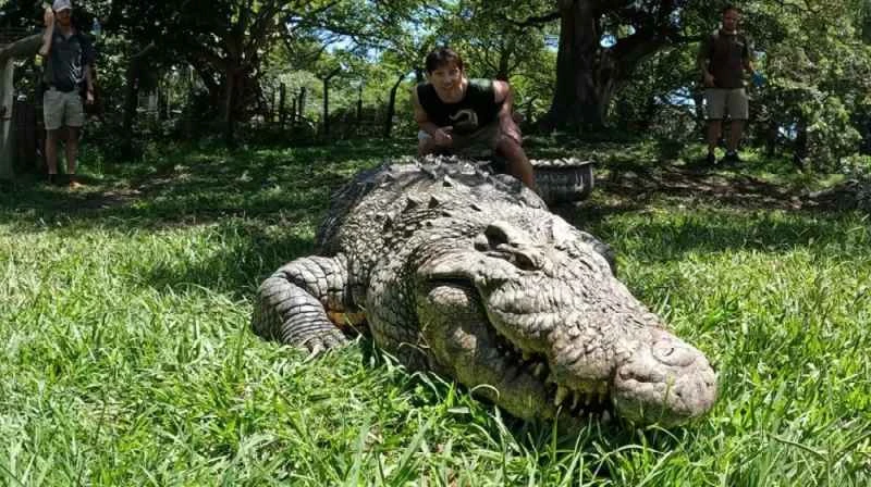 世界上最长寿的鳄鱼