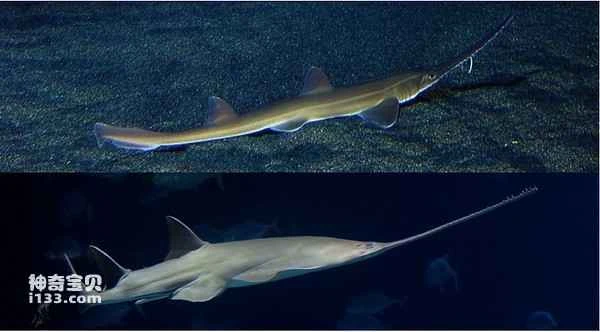 2024041226843378.jpg 66.jpg