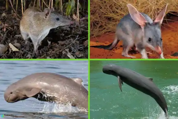 2025073011288033.webp 9.webp