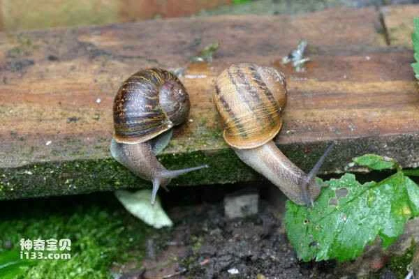 2023110512017117.jpg 10(1).jpg