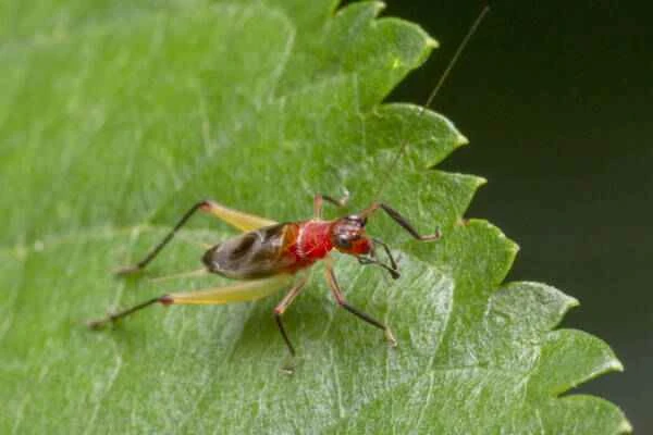 2023103052167965.jpeg 3(1).jpeg