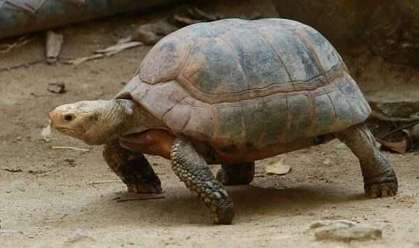 2023091135778049.jpeg 9(1).jpeg