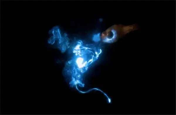 2024091810644384.jpg 777.jpg