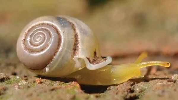 2023110518935667.jpeg 8(1).jpeg