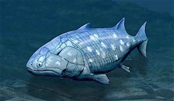 2023092762762600.jpeg 33(1).jpeg