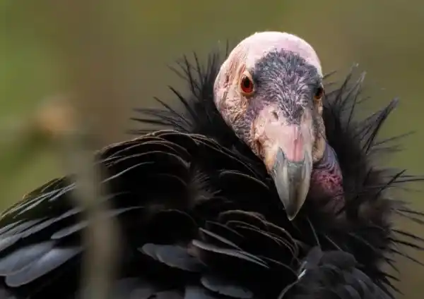 2025072895100786.webp 12.webp