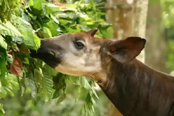 2025092521310974.webp 4.webp