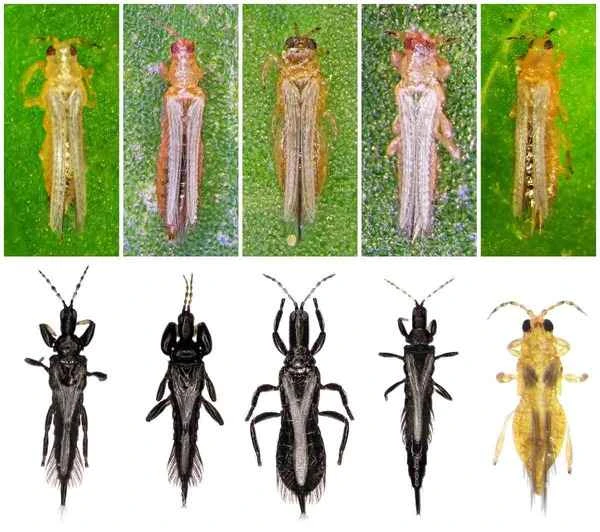 2024042561349885.jpeg 6.jpeg