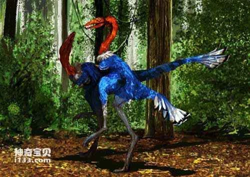 Fossil sites and physical characteristics of Monoclawedosaurus