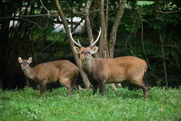 2024011758915993.jpeg 3.jpeg