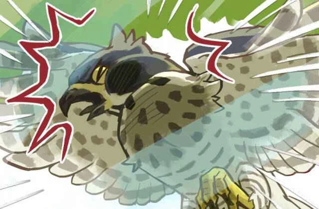 Ten superstitious beliefs about birds, and what omens it means if a bird poops on you.