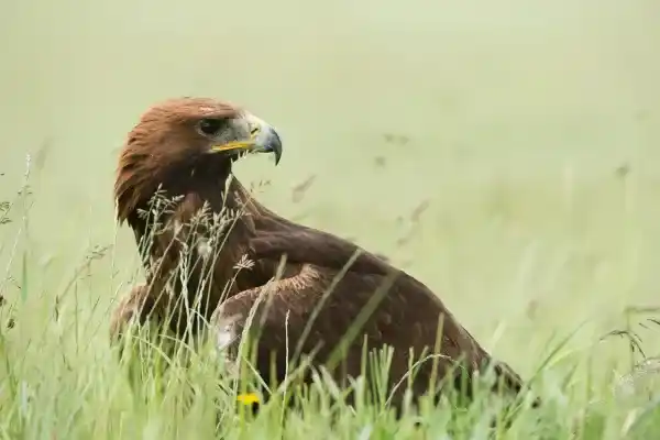 2025083016385499.webp 3.webp