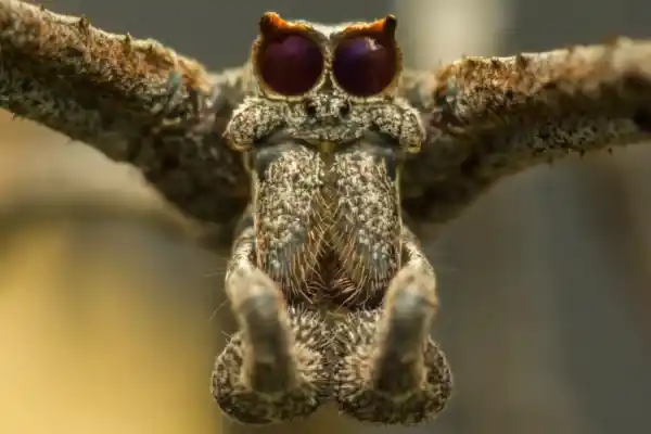 2025082886556536.webp 8.webp