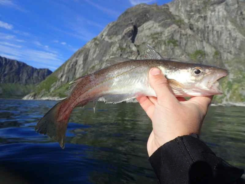 2025022715383165.jpg 7.jpg