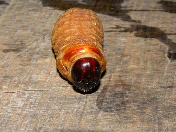 2024102255118033.jpg 2.jpg